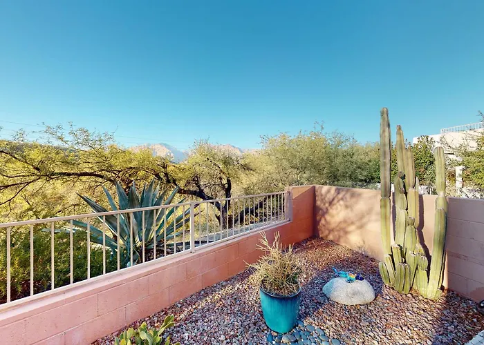 Calle Bartinez Oasis Tucson
